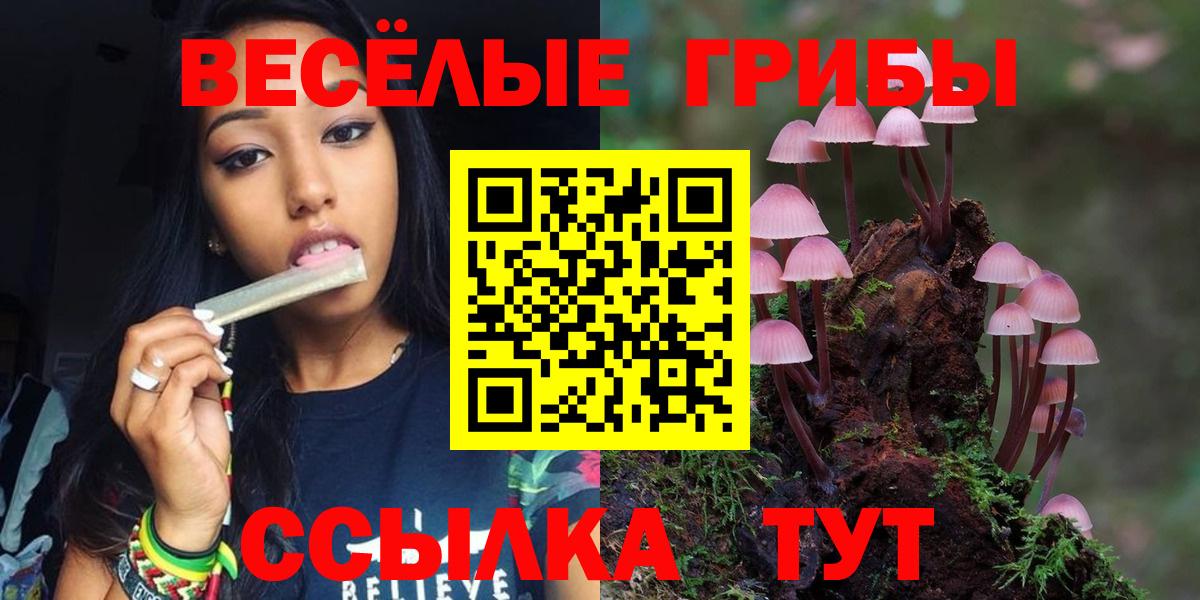 Псилоцибиновые грибы GOLDEN TEACHER  Псилоцибиновые грибы прущие грибы  Вход с VPN  Можга 