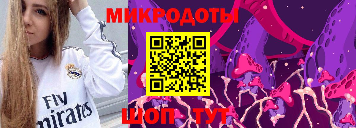 Галлюциногенные грибы Psilocybine cubensis Можга